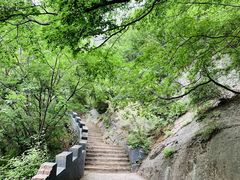 -圣莲山风景区