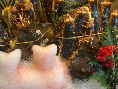 帝王蟹-雍和会海鲜姿造自助(湖东路店)