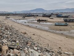 -北岐滩涂