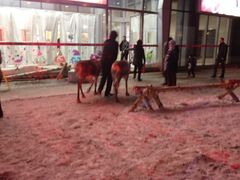 -银泰百货(北京大红门店)
