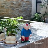 这样chill的小院子 居然藏在居民区咖啡店