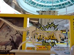 -深圳龙华星河COCO City(民治店)