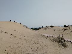 -古柏渡飞黄旅游区