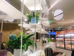 大堂-奈雪的茶(新天地广场PRO店)