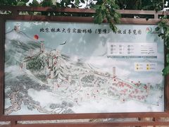 -北京鹫峰国家森林公园