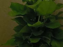 -水云间水疗会馆(福强路店)