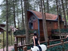 -洛阳白云山景区