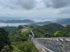 -黄贤森林公园