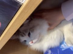 -剧狐剧本杀(徐汇1号店)