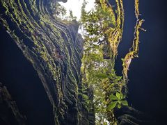 -梭布垭石林景区