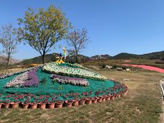 -西海岸生态观光园