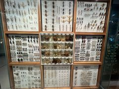 -墨尔本博物馆(Melbourne Museum)