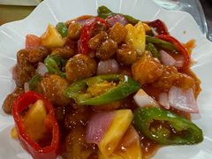 -东鸽皇(奥园·中环广场店)