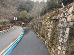 -杭州半山国家森林公园