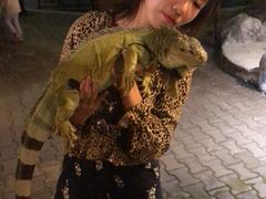 -清迈夜间动物园