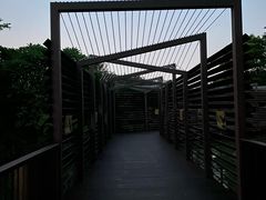 -海珠湖公园