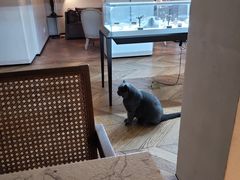 -Me Coffee下午茶艺术空间