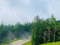 -富士山吉田線五合目