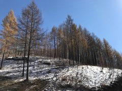 -塞罕坝国家级自然保护区