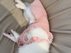 -怪兽屋·羊驼·猫咖·狗咖(俊华广场店)