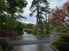 -浙江西子宾馆·瑶园咖啡厅