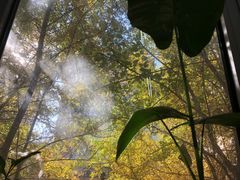 -吉林大学(南岭校区)