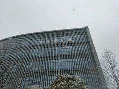 -南京大学杜厦图书馆