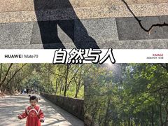 -中山市树木园