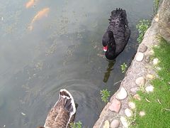 -白马涧龙池景区