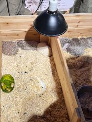 -酷嗒动物文化乐园(cutezoo西溪乐天城店)