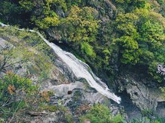 -东天目山风景区