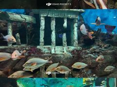 -合肥海洋世界