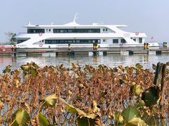 -渔娘蟹庄(阳澄湖莲花岛店)