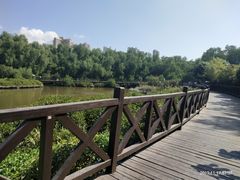-大亚湾红树林城市湿地公园