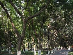 -龙头寺公园