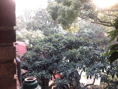 -马勒别墅饭店(静安寺店)