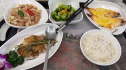 -安琪朵朵独栋花园月子中心