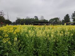 -洪湖家庭农场·团建·露营·会议