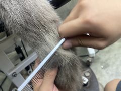 -PETKIT小佩宠物·低压洗护(国顺东路店)