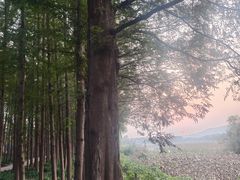 -云龙湖旅游景区