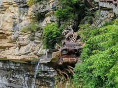-鹿院坪生态旅游景区