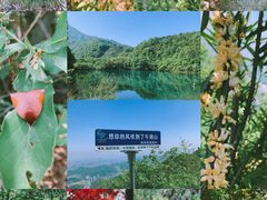 -午潮山国家森林公园