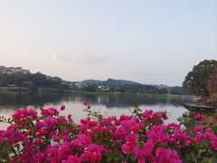 -白云湖畔酒店-湖畔餐厅