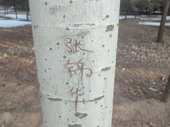 -森林公园(尖草坪区)