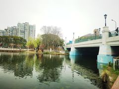 -新江湾城公园