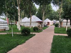 -九十九顶毡房(阜石路店)