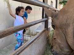 -鄂尔多斯野生动物园