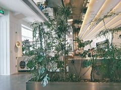 -慕境Moment Space·Fresh(33小镇店)