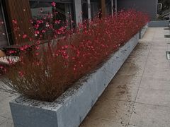 -聚农庄民宿农家院(梨木台东山店)