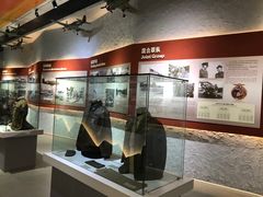 -昆明市博物馆(昆明市文物保护和考古研究中心)